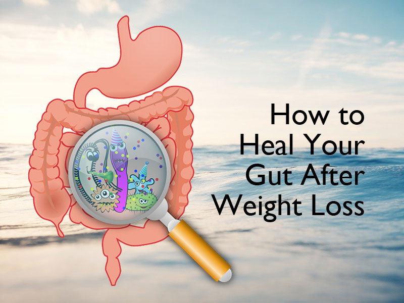Microscope on a gut graphic against a seascape to illustrate how to heal your gut after weight loss