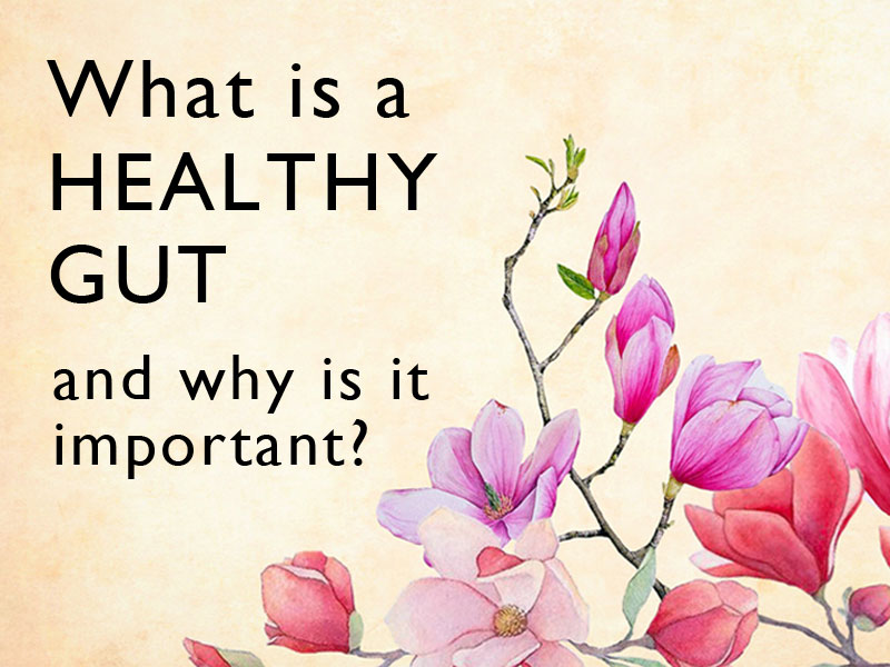 Flowers to illustrate a healthy gut