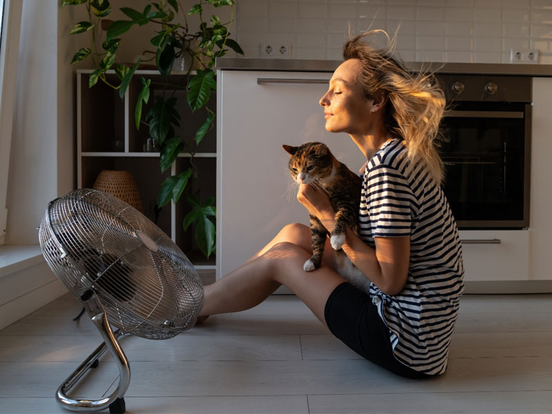 happy women sitting in sunlight to illustrate bioidentical estrogen