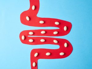 close-up of lactobacillus to illustrate gut health