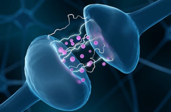 What Is Neurotransmitter Imbalance?